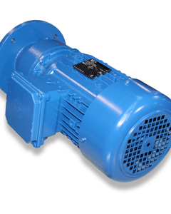 Helical geared motor 1.5kW, n=303 1/min, V1 F 200 (E